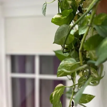 Turistico O.n Renfe アパート *